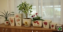 thn_kvetiny (11).jpg